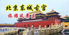 亚州性感大黑逼视频中国北京-东城古宫旅游风景区